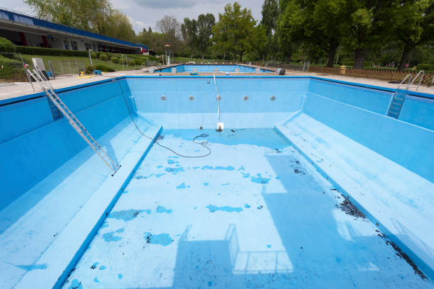 Best Basement water damage restoration  in Bath, PA