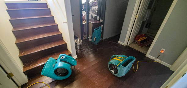 Best Flooded house restoration  in Bath, PA