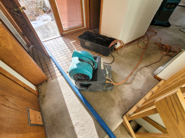 Best Carpet water damage restoration  in Bath, PA