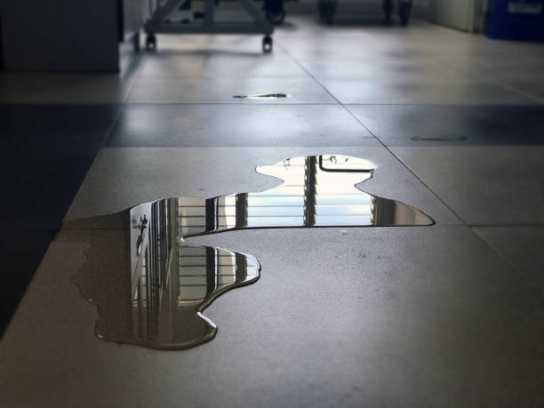 Best Water damage restoration specialists  in Bath, PA