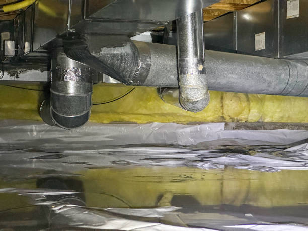 Best Water damage restoration mold remediation  in Bath, PA