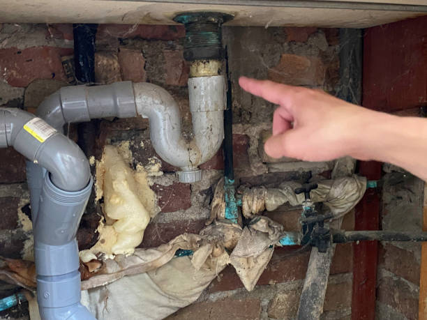 Best Water damage restoration near me  in Bath, PA