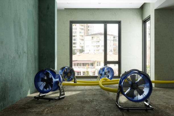 Water damage restoration process in Bath, PA
